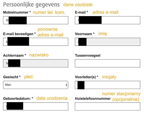 Szybka pożyczka w Holandii przez internet: krok po kroku